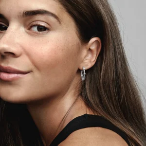 Foto de Arracades d'Aro Barras Brillants a Pavé 290043C01 de pandora