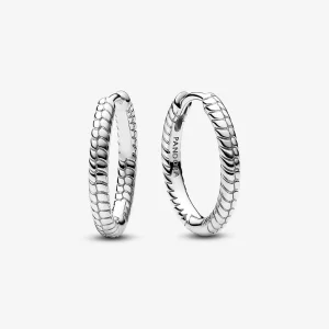 Foto de Arracades d'Aro Pandora Moments per a Charm Petits 292728C00 de pandora