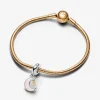 Foto de Charm Penjoll Lluna i Clau en Dos Tons Foto de Charm Penjoll Lluna i Clau en Dos Tons 762985C01 de pandora