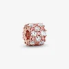 Foto de Charm Brillant Transparent i Rosa Foto de Charm Brillant Transparent i Rosa 788487C01 de pandora