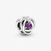 Foto de Charm Cercle Eternity Febrer Foto de Charm Cercle Eternity Febrer 790065C02 de pandora