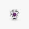 Foto de Charm Cercle Eternity Febrer Foto de Charm Cercle Eternity Febrer 790065C02 de pandora