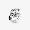 Foto de Charm Avió Mickey i Minnie Mouse de Disney 790108C00 de pandora