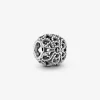 Foto de Charm calat Roses 791282 de pandora