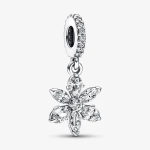 Foto de Charm Penjoll Herbari Brillant 792382C01 de pandora