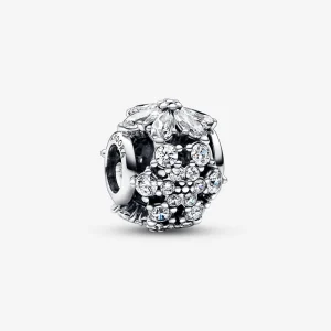 Foto de Charm Herbari Brillant 792383C01 de pandora