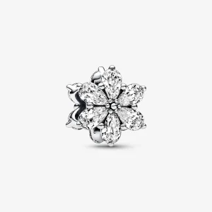 Foto de Charm Herbari Brillant 792623C01 de pandora