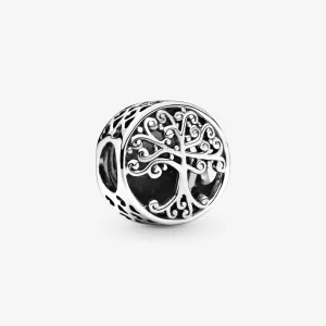 Foto de Charm de plata de llei Arrels Familiars 797590 de pandora