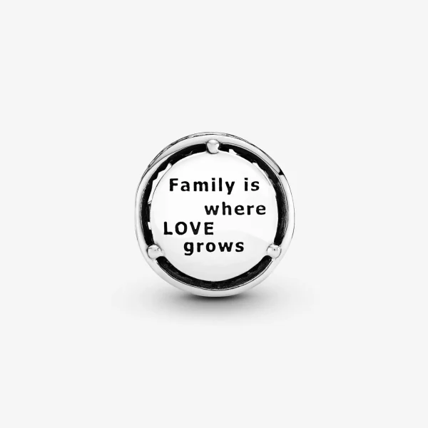 Foto de Charm de plata de llei Arrels Familiars 797590 de pandora